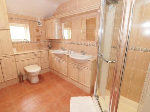 uma casa de banho com um WC, um lavatório e um chuveiro em The Nook at Timbers em Great Longstone
