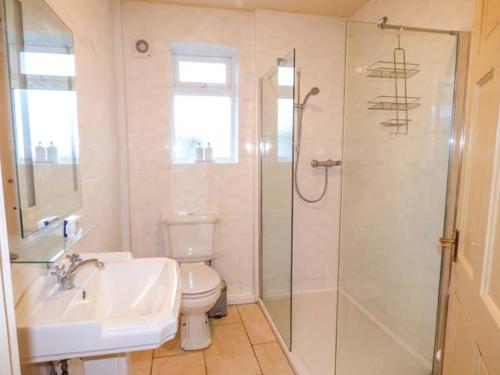 a bathroom with a toilet and a sink and a shower at Ty Woods Cottage in Rhoscolyn