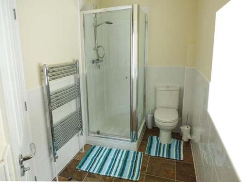 a bathroom with a shower and a toilet at Vale Barn in Dronfield