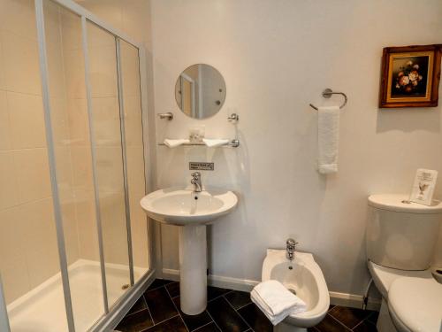 uma casa de banho com um lavatório, um WC e um chuveiro em Little Willesleigh em Goodleigh