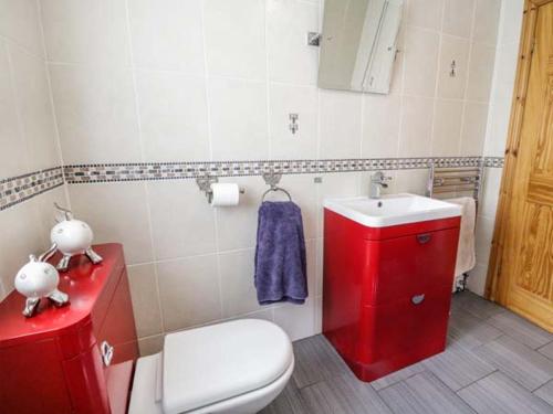 baño con lavabo rojo y aseo en 1 The Old Smithy, en Cemaes