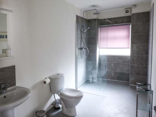 CrooklandsにあるCrooklands House 3のバスルーム(トイレ、洗面台、シャワー付)