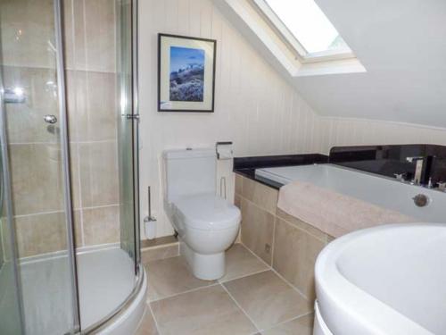 a bathroom with a toilet and a shower and a sink at Smugglers' Cottage in Marske-by-the-Sea