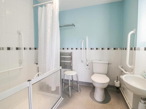 a bathroom with a toilet and a sink at Manaros Cottage in Aberdaron