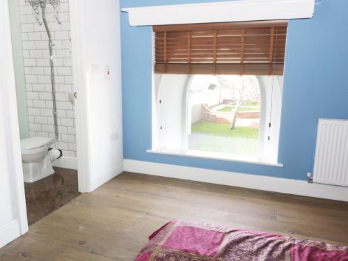 a bathroom with a toilet and a blue wall at No 1 Church Cottages in Llanelli