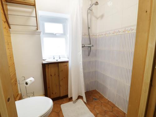 ein Bad mit einem WC, einem Waschbecken und einem Fenster in der Unterkunft Cae Tanws Bach in Dolgellau