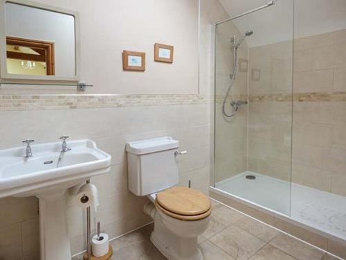 a bathroom with a toilet and a sink and a shower at Bran Goesgoch in Holyhead