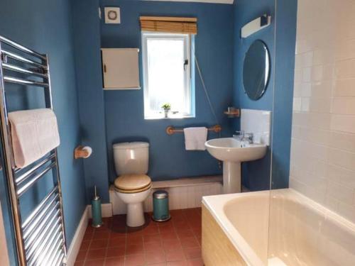 een blauwe badkamer met een toilet en een wastafel bij Goosepond in Wistanstow