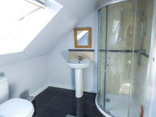 uma casa de banho com um chuveiro, um WC e um lavatório. em Gwdihw em Ifton Heath