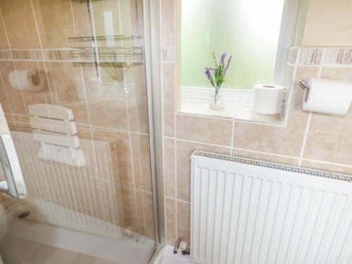 Fran's Cottage في Millington: حمام مع دش ومرحاض ومغسلة