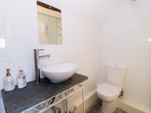 a bathroom with a white sink and a toilet at 2 Borthwen Cottages in Dyffryn