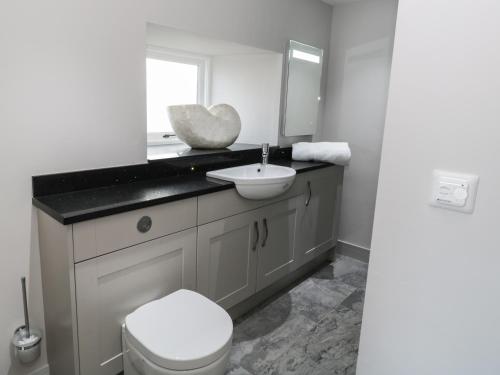 a bathroom with a sink and a toilet and a mirror at The Granary Loft in Sunbrick