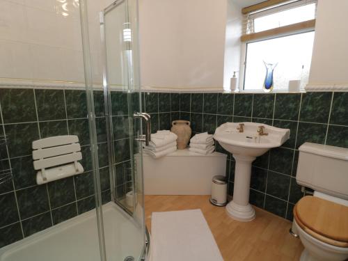 uma casa de banho com um chuveiro, um lavatório e um WC. em Whitfield Cottage 21 Silver Street em Wolsingham
