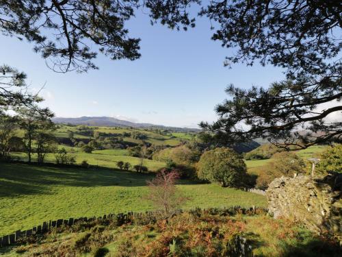 a view from the top of a hill with trees at Yr Hen Dy in Ffestiniog