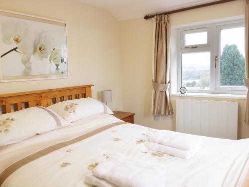 a bedroom with a bed and a window at Broadway Lands Farm in Little Dewchurch
