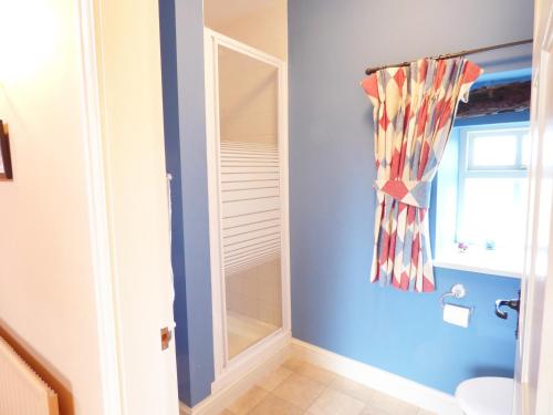 een badkamer met blauwe muren en een douche bij The 'Stables' in Waterfall