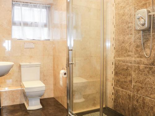 een badkamer met een douche, een toilet en een wastafel bij Wrens Nest in Coreley
