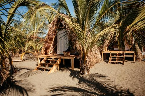 una piccola capanna sulla spiaggia con una palma di Casa Morrillo a Morrillo