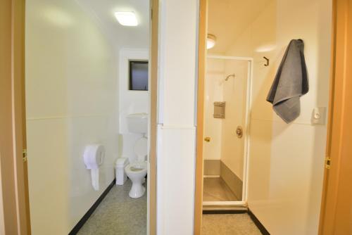 a bathroom with a toilet and a shower at Wilderness Backpackers in Haast