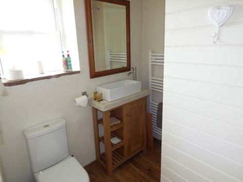 a bathroom with a toilet and a sink and a mirror at The Den in Carmarthen