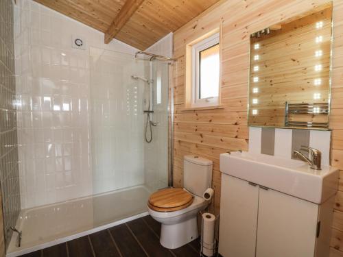 a bathroom with a toilet and a shower and a sink at The Cabin in Garnant