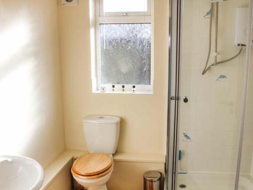 a bathroom with a toilet and a shower and a window at Primrose Cottage in Alford