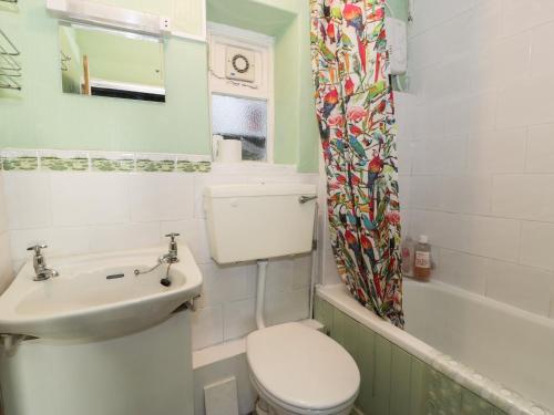 a bathroom with a toilet and a sink and a shower curtain at Merlin in Pwllheli