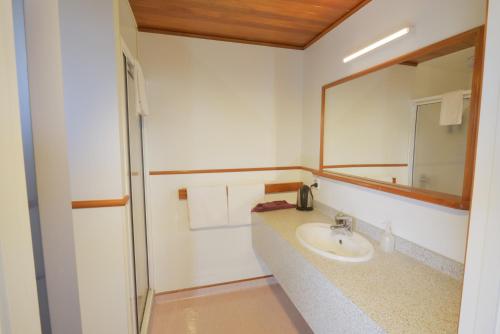 a bathroom with a sink and a mirror at Wilderness Motel Accommodation in Haast