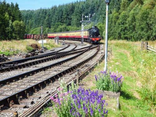 a train is traveling down the tracks with purple flowers at The Hayloft in Lastingham