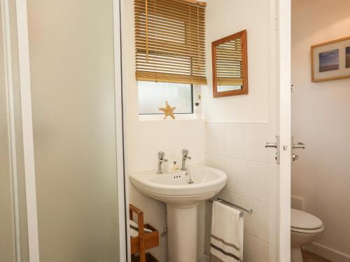 ein Badezimmer mit Waschbecken und Toilette in der Unterkunft The Cabin in Ilfracombe