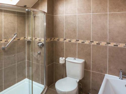 La salle de bains est pourvue de toilettes et d'une douche en verre. dans l'établissement Swallows Nest, à Coniston