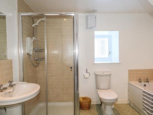 a bathroom with a shower and a toilet and a sink at Newlands in Archiestown