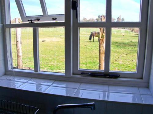 uma janela de cozinha com vista para um elefante num campo em The Bothy em Lymington