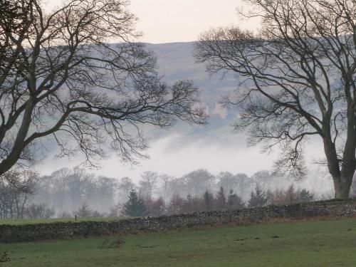 a foggy field with trees and a hill in the background at The Bothy in Leyburn