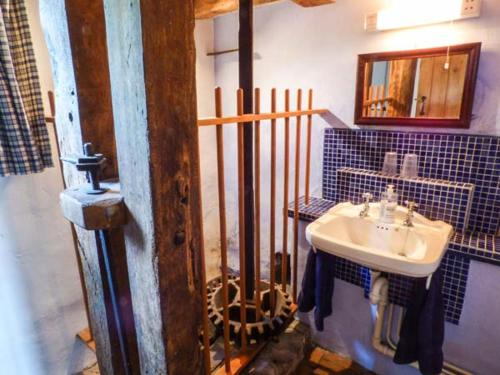 ein Bad mit einem Waschbecken und einem Spiegel in der Unterkunft The Mill in Bicknoller