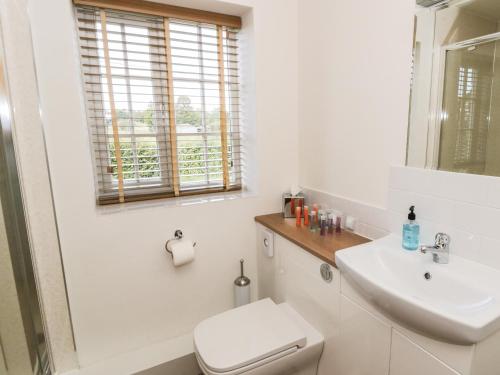 a white bathroom with a toilet and a sink at Swan Cottage in Fearby