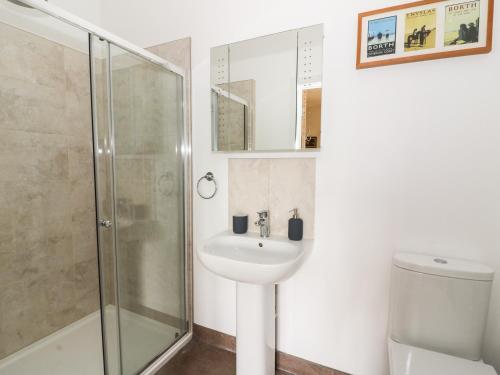 a bathroom with a sink and a shower at Y Felin - Moana in Borth