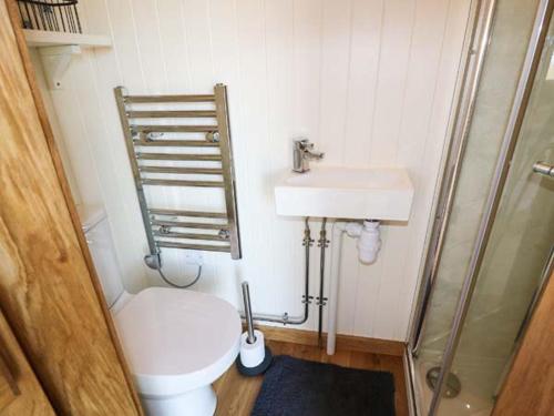 Baño pequeño con aseo y lavamanos en Llety'r Bugail, en Holyhead