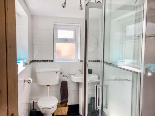 a bathroom with a toilet and a sink and a shower at Croft Cottage in Pateley Bridge