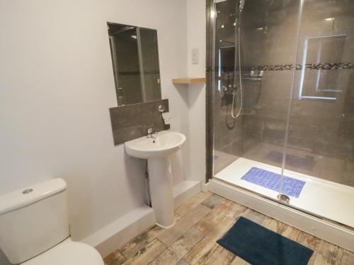 a bathroom with a toilet and a sink and a shower at Minffordd in Bala