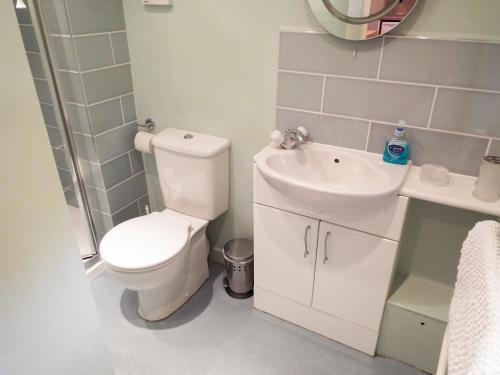 ロス・オン・ワイにあるThe Granaryのバスルーム(白いトイレ、シンク付)