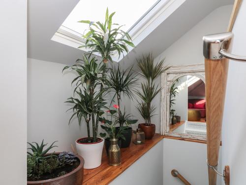 a bathroom with plants on a shelf and a mirror at The Snug in Grampound