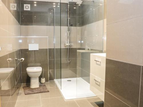 a bathroom with a shower and a toilet and a sink at Hoden View in Cleeve Prior