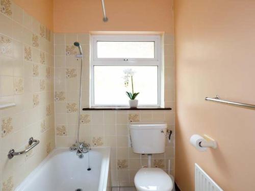 baño con aseo, bañera y ventana en Rossbeigh Beach Cottage No 6, en Rossbeigh