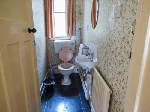 a small bathroom with a toilet and a sink at Fiddlers Green in Bucknell