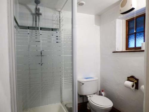 a white bathroom with a toilet and a shower at The Mallard Studio in Dyrham