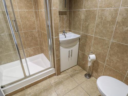 a bathroom with a shower and a sink and a toilet at Apartment 2 in Tenby