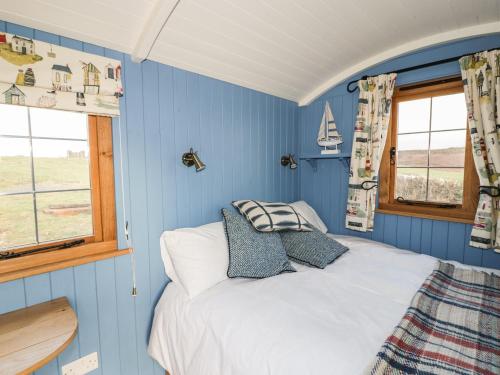 a bedroom with blue walls and a bed with pillows at Cysgod y Bugail in Holyhead
