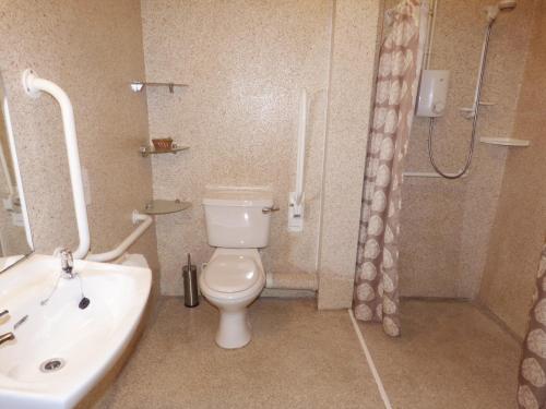 BeaworthyにあるChaffinchのバスルーム(トイレ、洗面台、シャワー付)