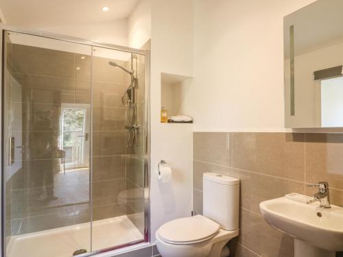 une salle de bain avec toilettes, douche et lavabo dans l'établissement Zeal Cottage, à Zeal Monachorum